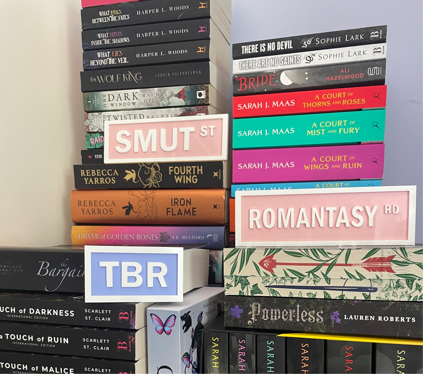 Fourth Wing Inspired Book Shelf Street Signs