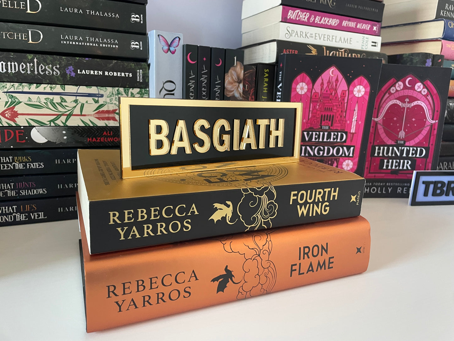 Fourth Wing Inspired Book Shelf Street Signs