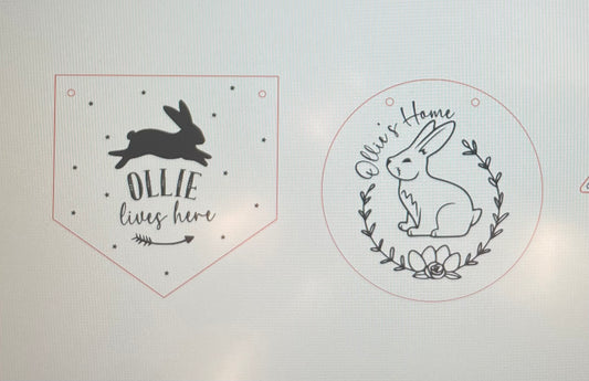 Custom design for Ollie