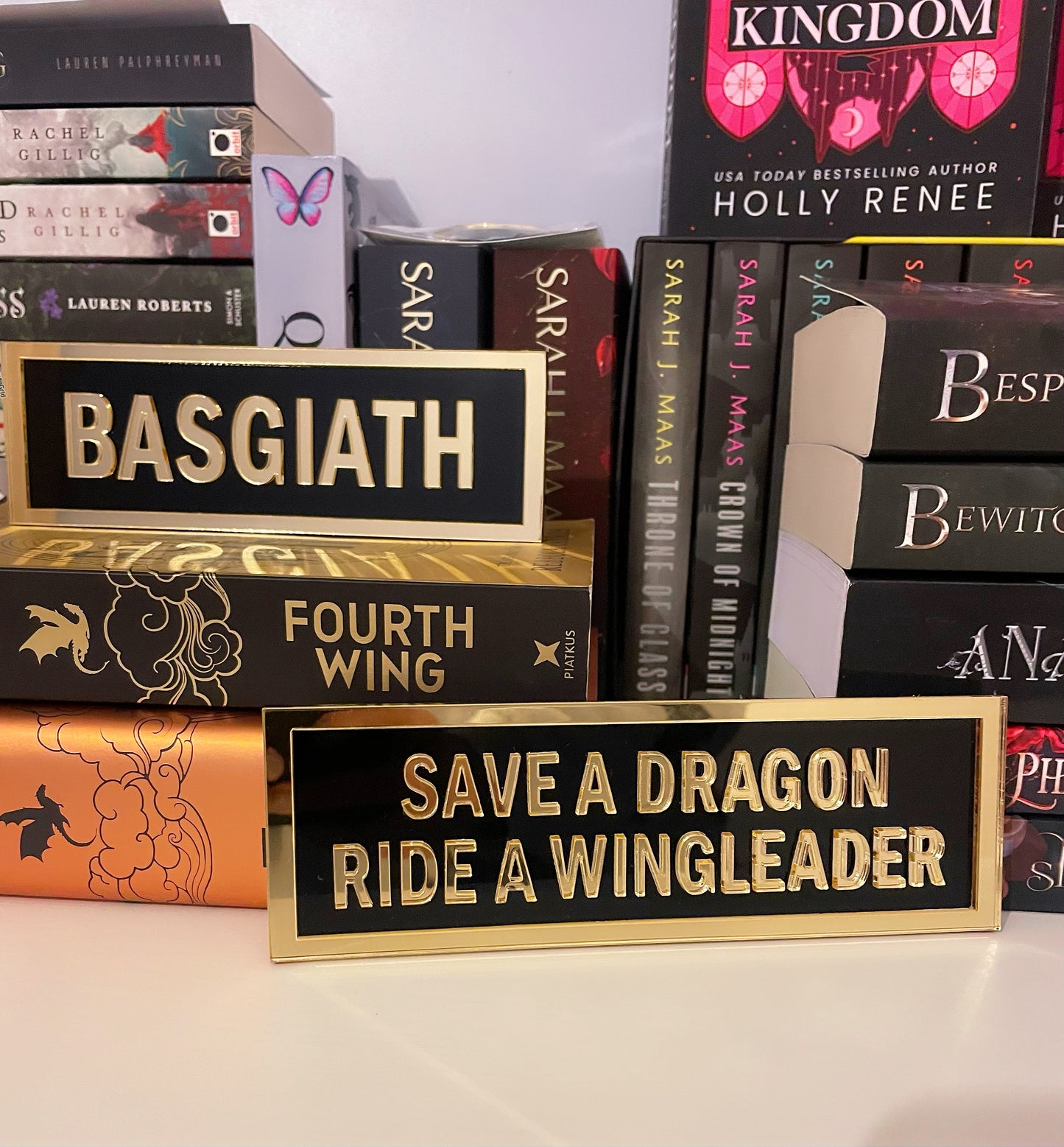 Fourth Wing Inspired Book Shelf Street Signs